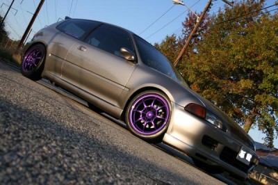 purple.jpeg