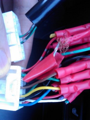 IMAG0037_450x600.jpg
